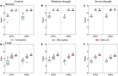 Character variation of root space microbial community composition in the response of drought-tolerant spring wheat to drought stress